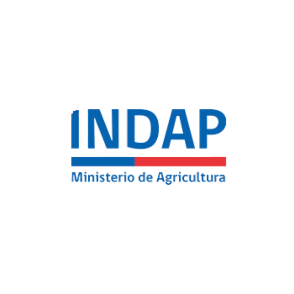 Empresa 5